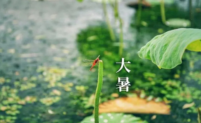 大暑是夏季最后的节气 有哪些注意事项