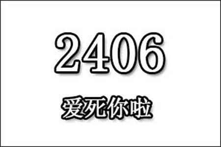 2406是什么意思网络用语