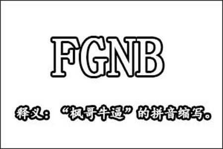 FGNB是什么意思梗