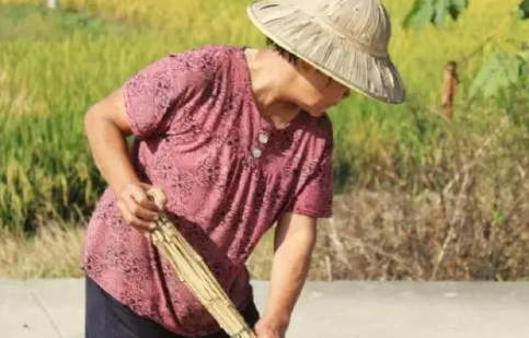 热射病发病的根本原因是什么