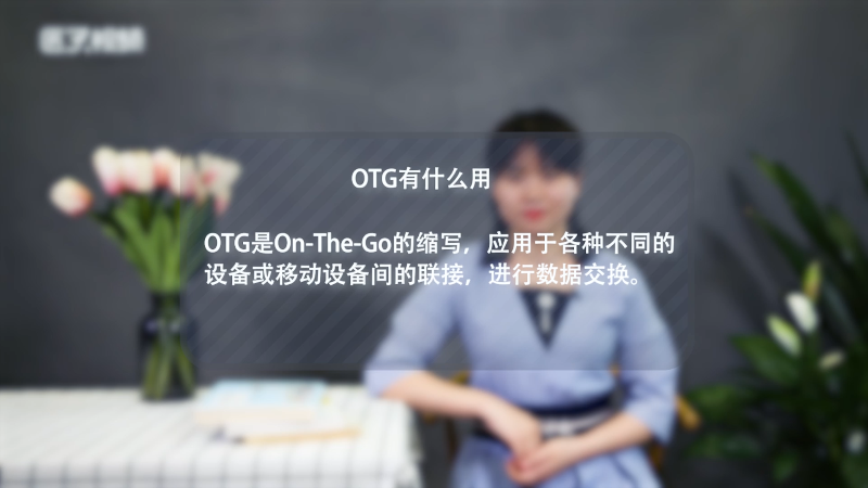 otg有什么用