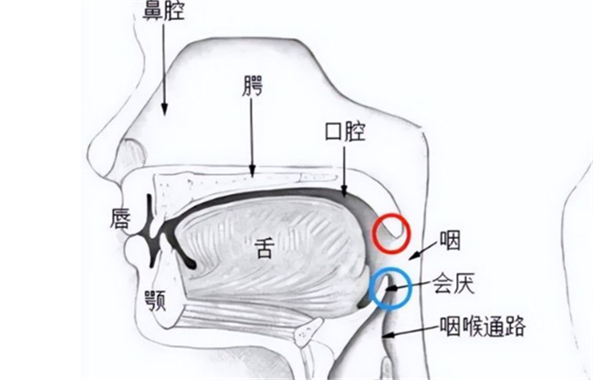 姑娘嗓子疼从就诊到去世仅10分钟 姑娘得了什么夺命急症？