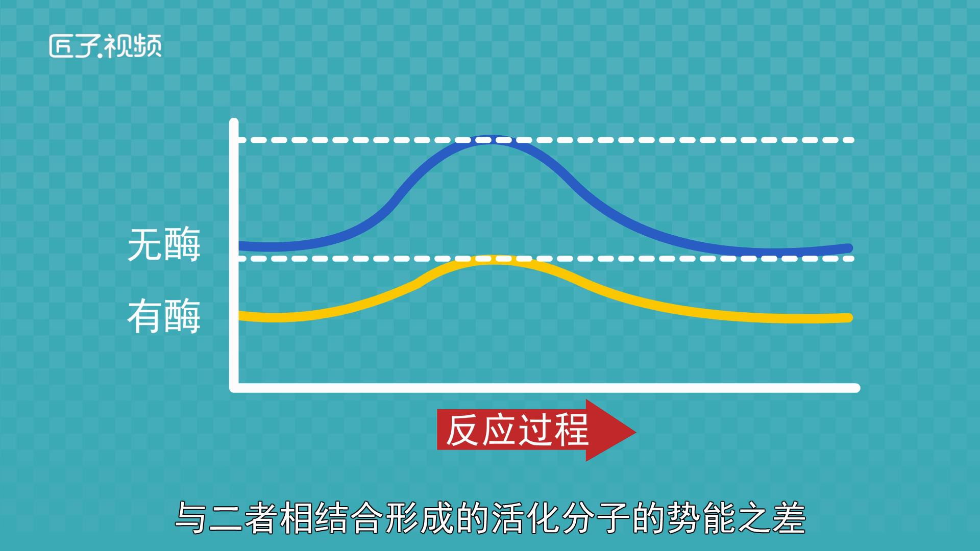 反应活化能是什么