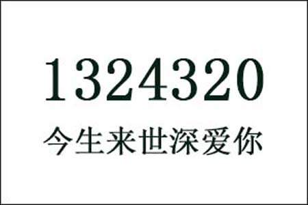 1324320是什么意思网络用语