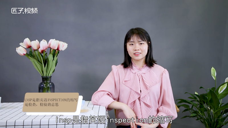 lnsp是什么意思