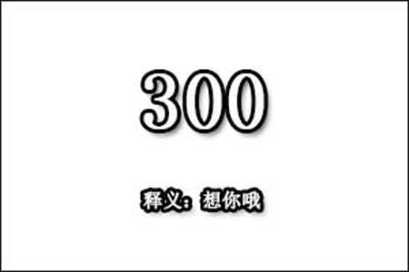 在爱情中300是什么意思网络用语