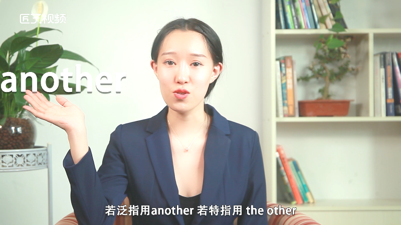 the other和another的区别