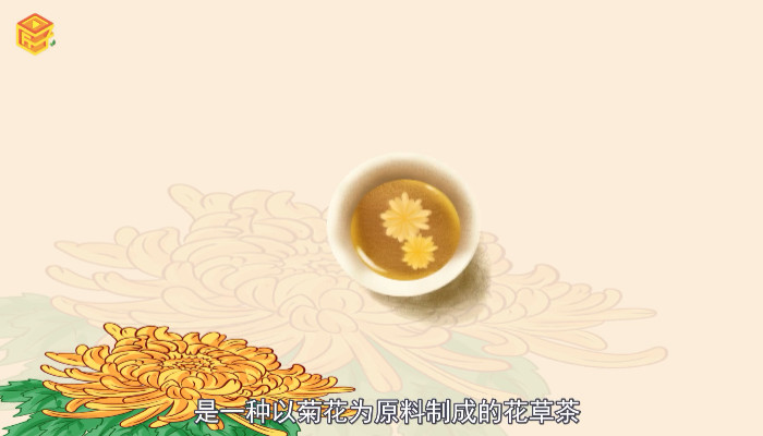 菊花茶的种类