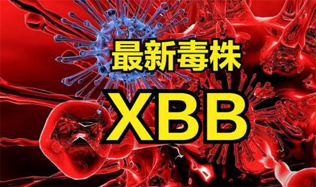 我国已监测发现7例XBB.1.5输入病例 会规模性传播吗