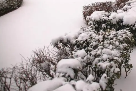 2021大雪节气北方会下大雪吗