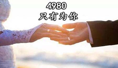 4980是什么意思网络用语