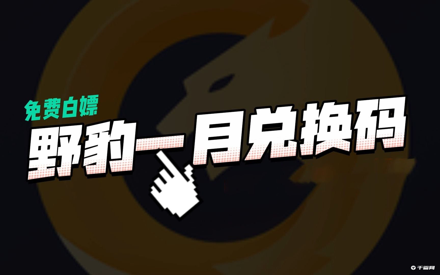 野豹游戏加速器2023年1月最新兑换码