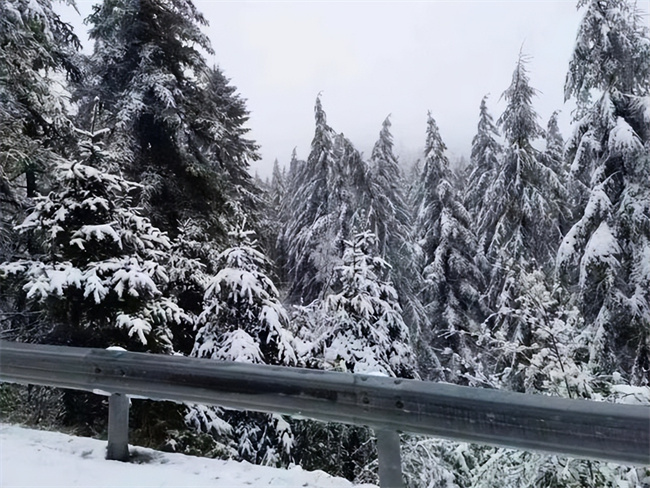 为什么全国多地五月会飘雪？