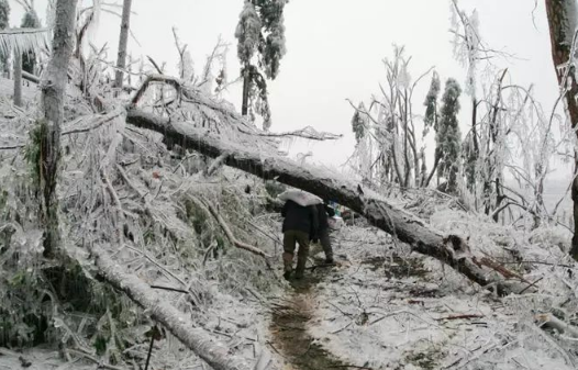 今年会和2008年一样出现冰雪灾害吗