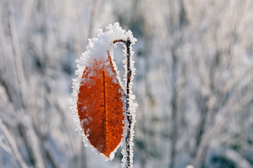 今年冬天的雪大不大多不多2021-2022