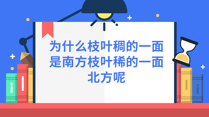 为什么枝叶稠的一面是南方枝叶稀的一面北方呢