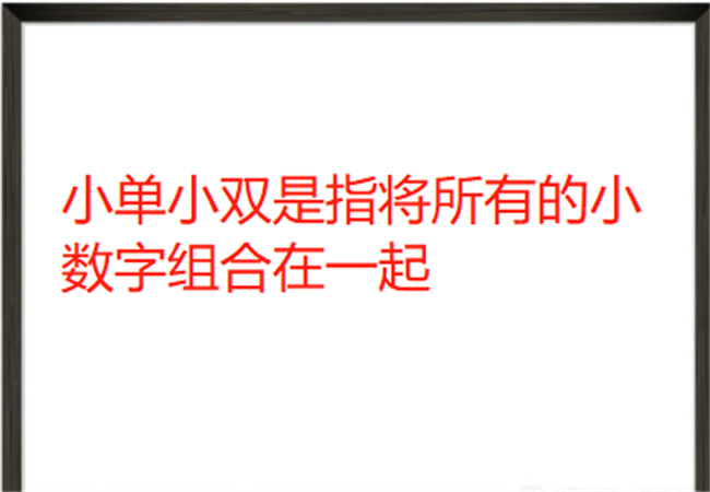 大小单双最安全的打法（大单小单大双小双的打法技巧口诀）