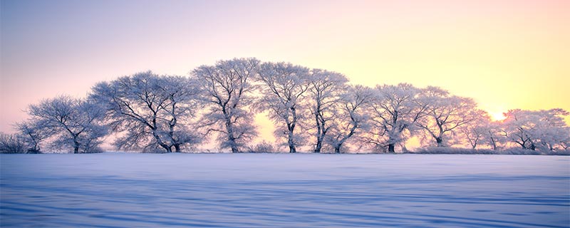 白雪的寓意和象征