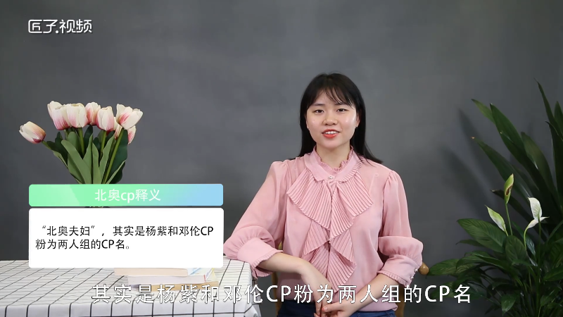 北奥cp 什么意思