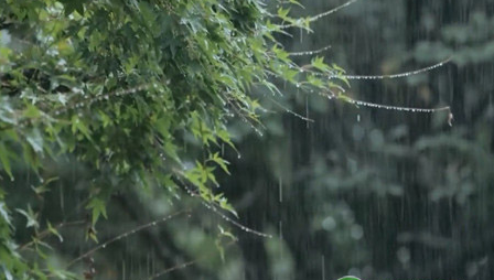 梅雨期每天都下雨吗