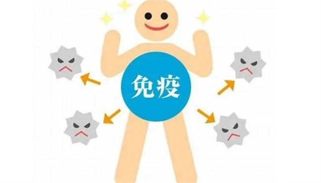 接吻能产生交叉免疫吗 交叉免疫是什么