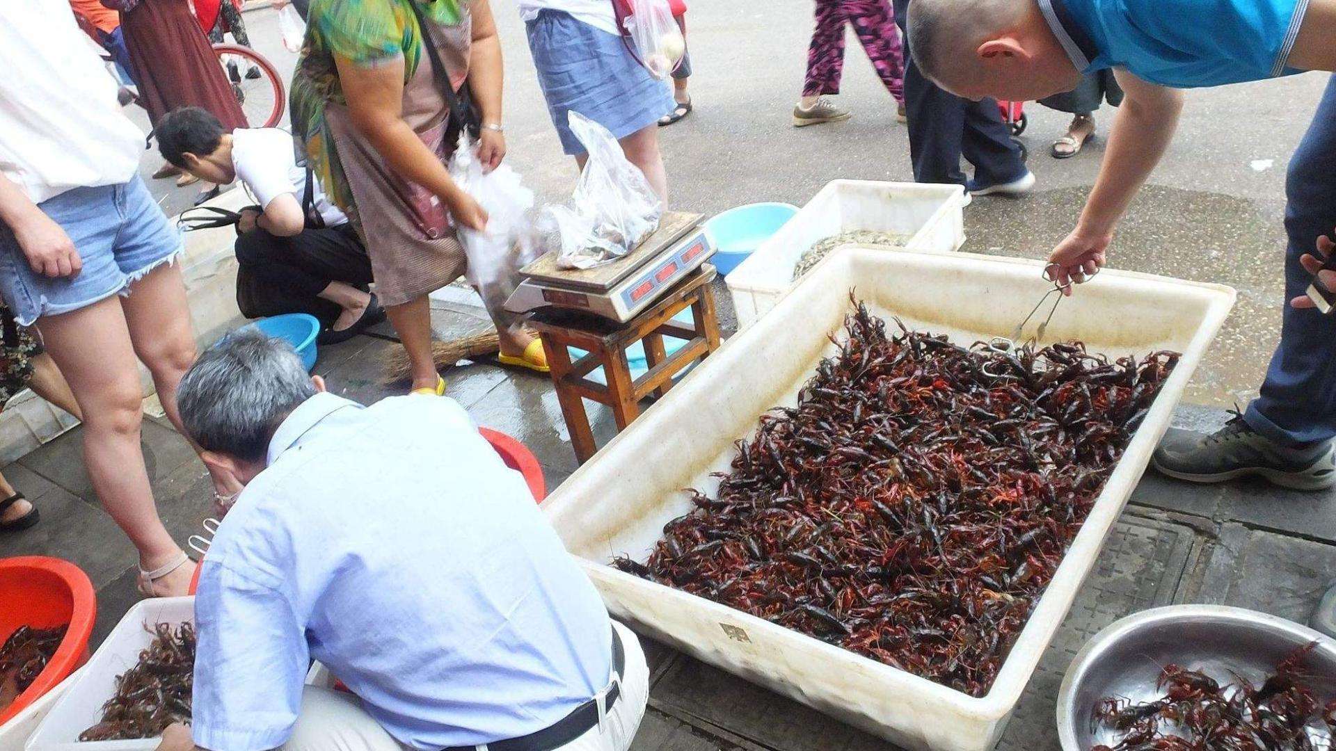 在市场怎么选小龙虾