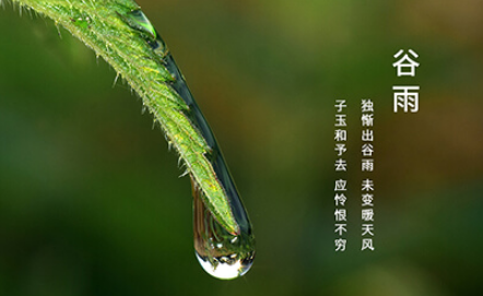 谷雨这天可以动针线吗