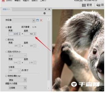 ACDSee怎么修改照片分辨率