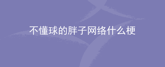 不懂球的胖子是什么梗