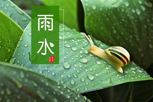 24节气雨水对应的是什么