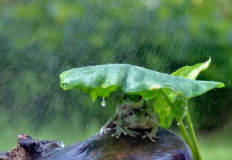 2022年南方梅雨季节是几月几号