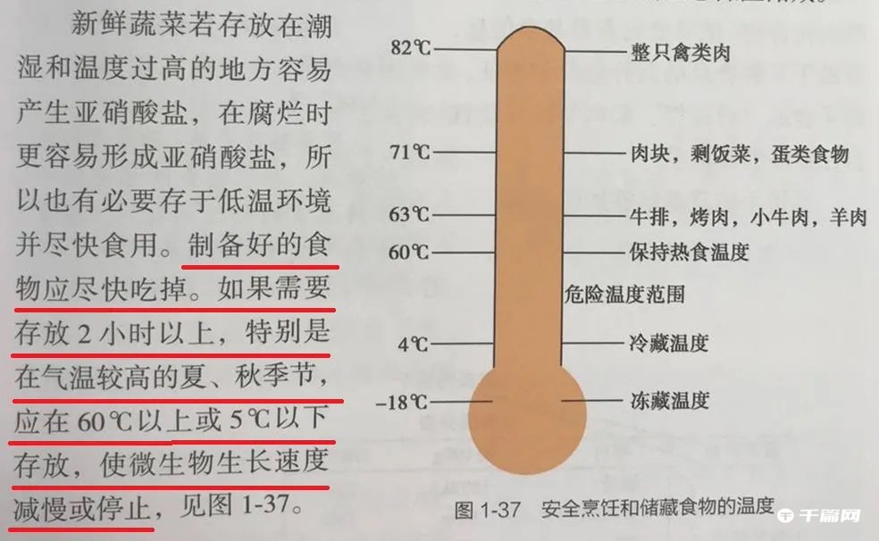 饭菜并不用等凉了才放冰箱