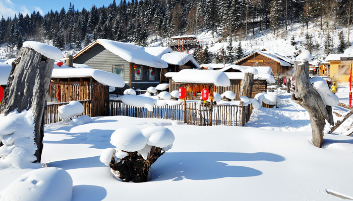 雪村在哪里