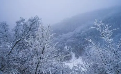 大雪节气晴天来年干旱吗