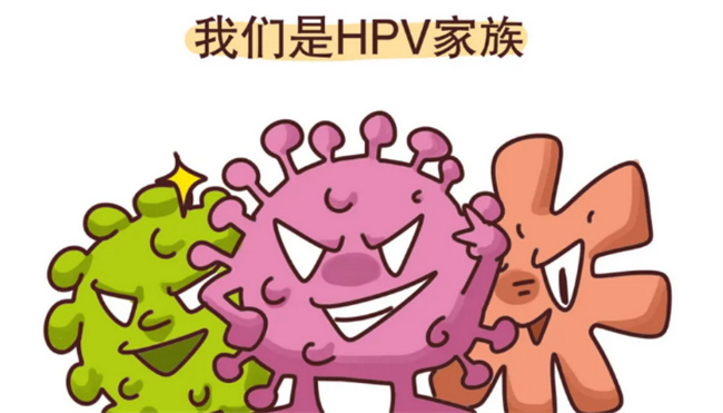 HPV是什么 HPV的怎么传染