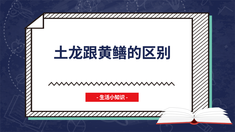 土龙跟黄鳝的区别