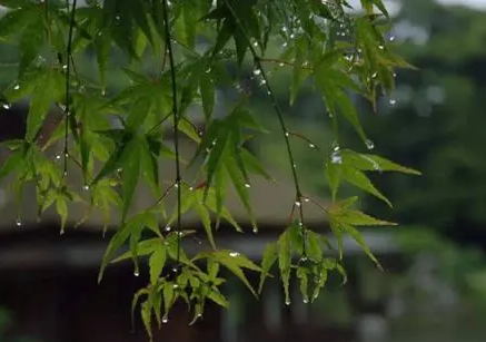 2022年北方有梅雨季节吗