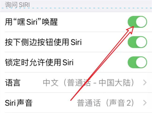 苹果14siri怎么打开 苹果手机siri在哪里打开