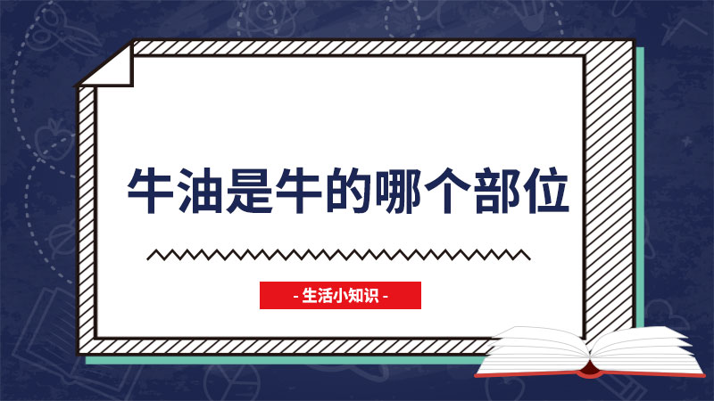 牛油是牛的哪个部位