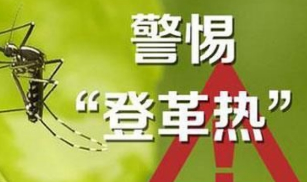 阿根廷登革热确诊病例超过5.6万例死亡48例 阿根廷登革热症状有哪些？