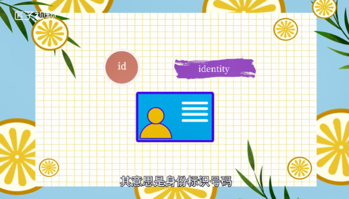 id是什么意思啊