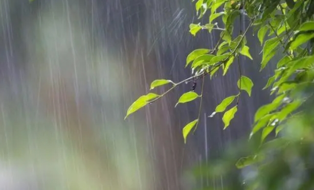 为什么雨声容易让人犯困？