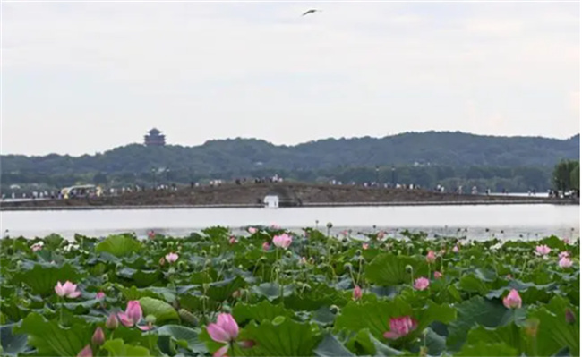 ​西湖的传说 西湖由来传说故事