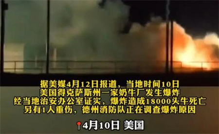 ​美国奶牛厂爆炸约1.8万头牛死亡 发生爆炸的原因是什么？