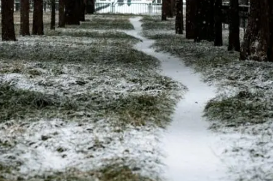 2021年大雪是在冬天第几个节气