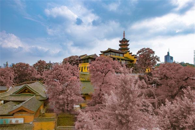 ​鸡鸣寺是不是需要门票