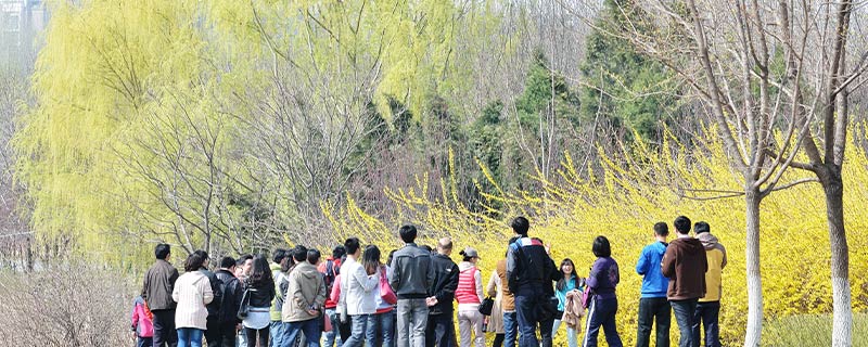 上巳节又被称为