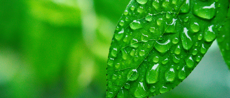 梅雨时节是什么季节