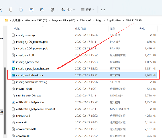 edge浏览器在Win11系统中打不开怎么办