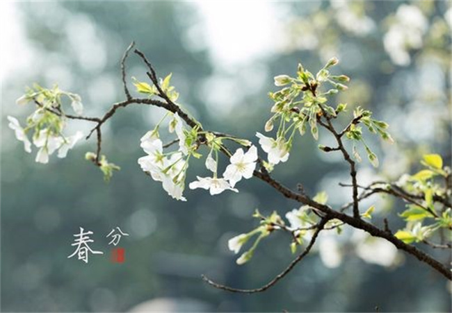 春分节气 天气不好有什么说法